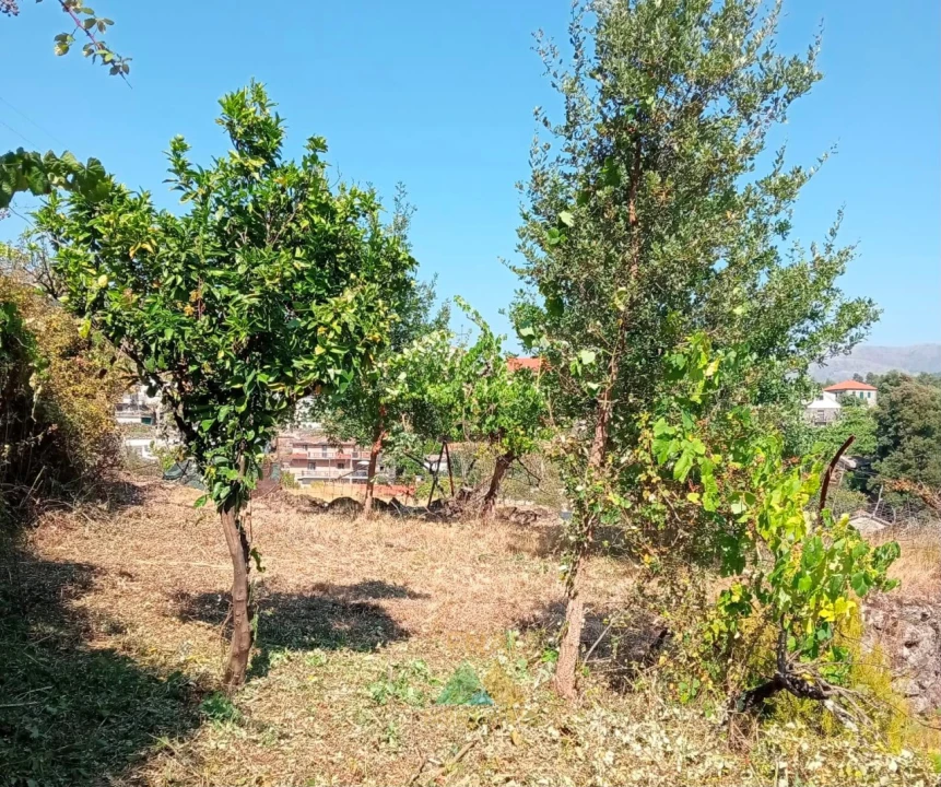 Moradia T1 para Venda em Soajo Foto 19