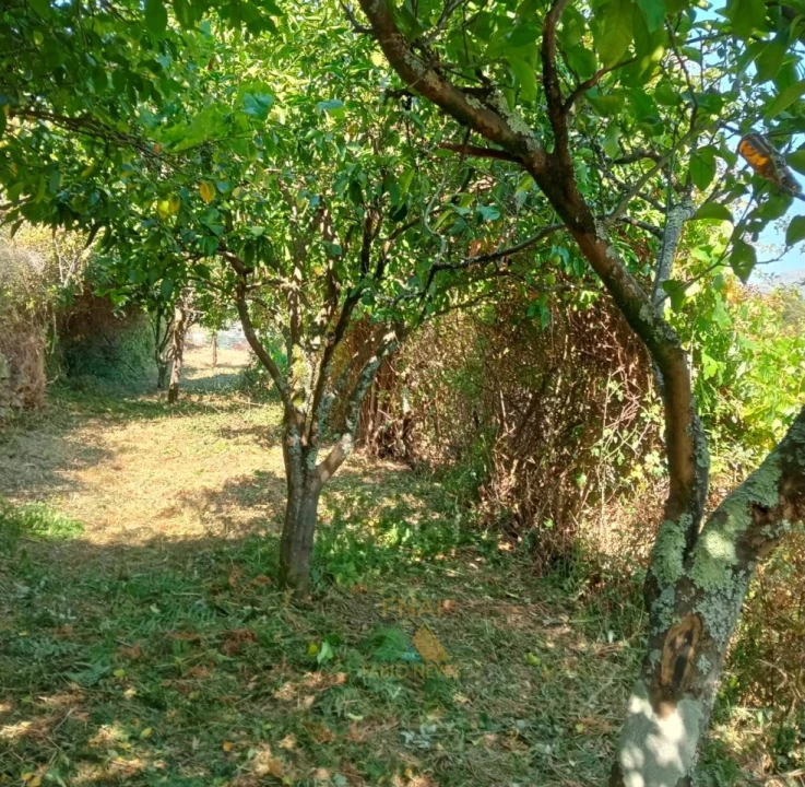 Moradia T1 para Venda em Soajo Foto 20