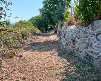 Moradia T1 para Venda em Soajo