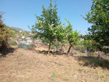 Moradia T1 para Venda em Soajo