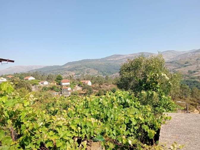 Moradia T1 para Venda em Soajo Foto 16
