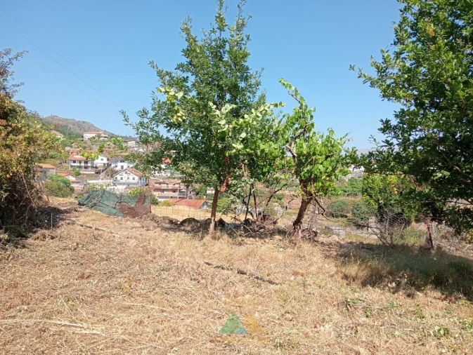 Moradia T1 para Venda em Soajo Foto 18