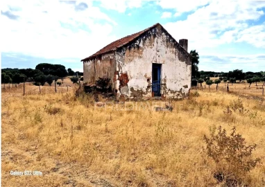 Terreno para Venda em Torrão
