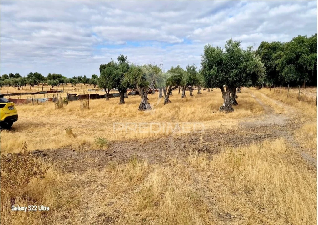 Terreno para Venda em Torrão Foto 11