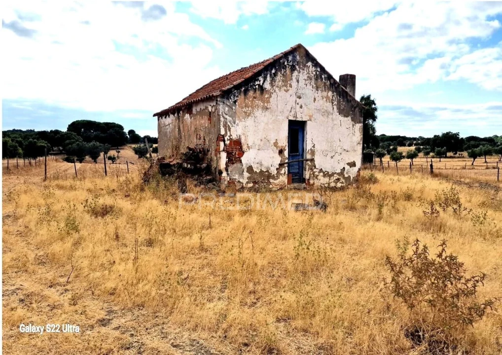 Terreno para Venda em Torrão Foto 4