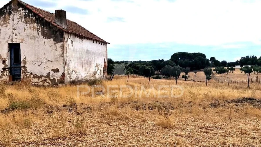 Terreno para Venda em Torrão