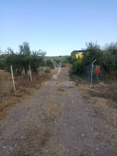 Terreno para Venda em Nossa Senhora da Expectação