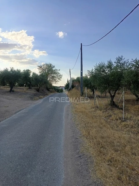 Terreno para Venda em Nossa Senhora da Expectação