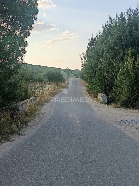 Terreno para Venda em Nossa Senhora da Expectação
