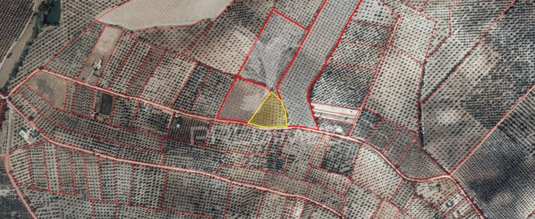 Terreno para Venda em Nossa Senhora da Expectação Foto 7
