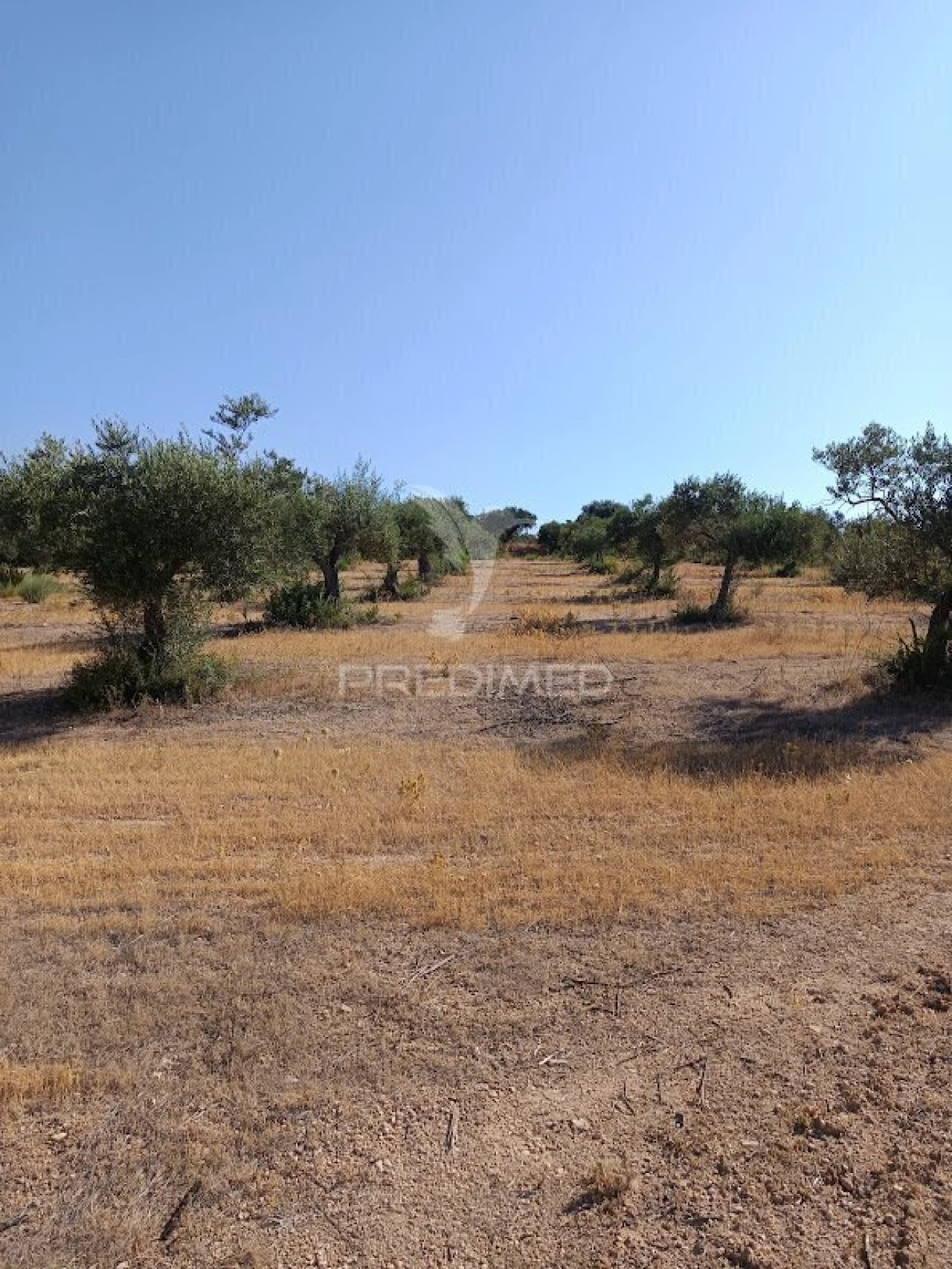 Terreno para Venda em Nossa Senhora da Expectação Foto 39