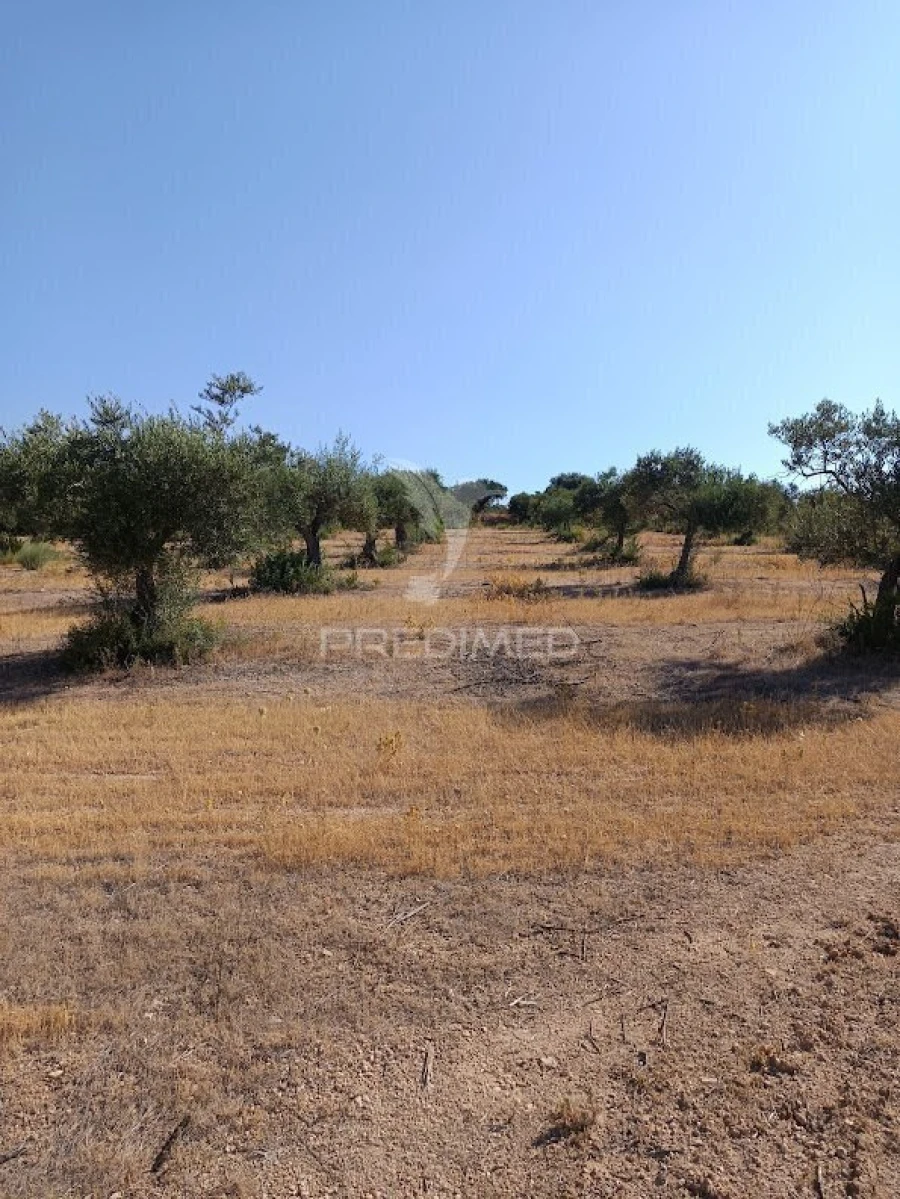 Terreno para Venda em Nossa Senhora da Expectação Foto 39