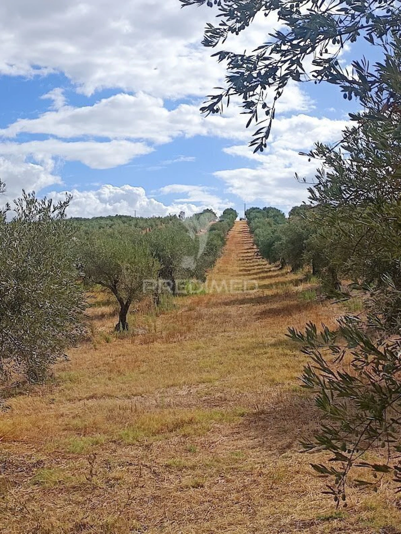 Terreno para Venda em Nossa Senhora da Expectação Foto 1
