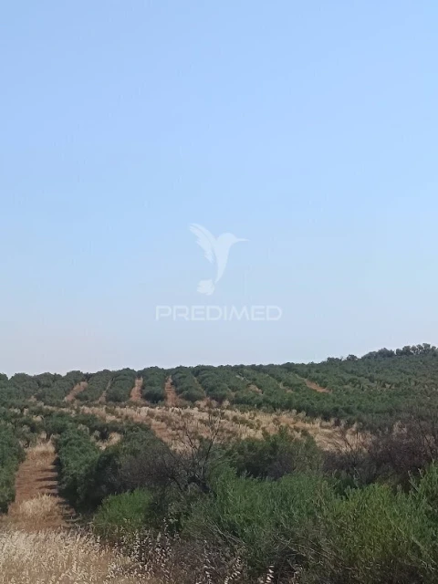 Terreno para Venda em Nossa Senhora da Expectação