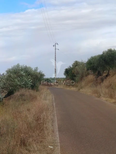Terreno para Venda em Nossa Senhora da Expectação
