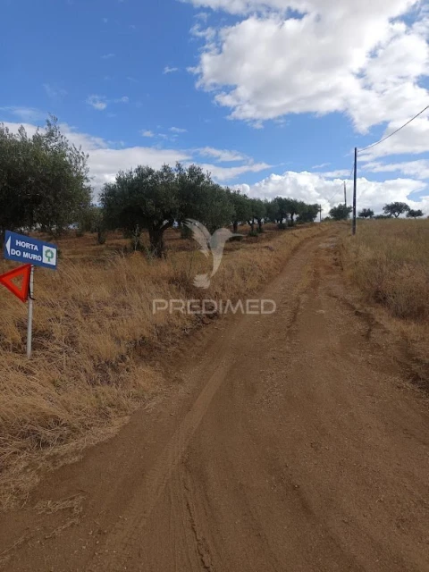 Terreno para Venda em Nossa Senhora da Expectação