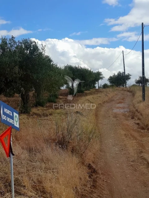 Terreno para Venda em Nossa Senhora da Expectação