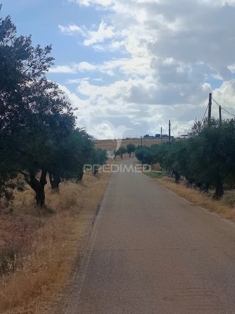 Terreno para Venda em Nossa Senhora da Expectação