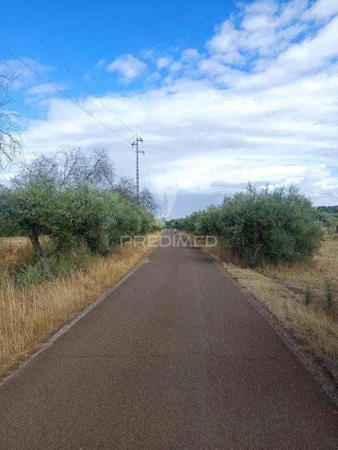 Terreno para Venda em Nossa Senhora da Expectação