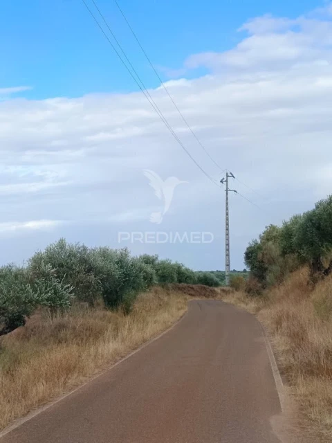 Terreno para Venda em Nossa Senhora da Expectação