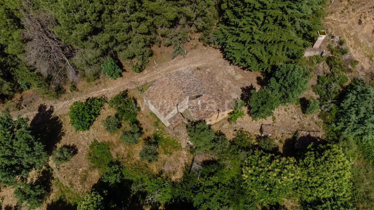 Moradia T3 para Venda em Souto da Casa Foto 18