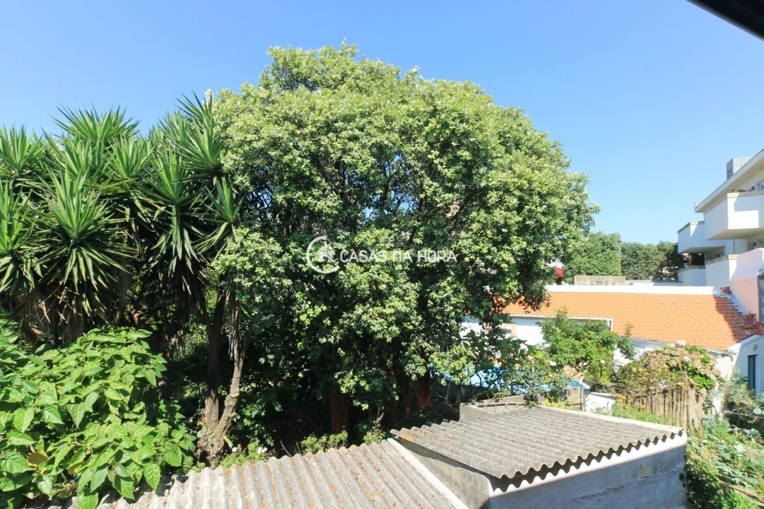 Apartamento T1 para Arrendamento em Aldoar, Foz do Douro e Nevogilde Foto 7
