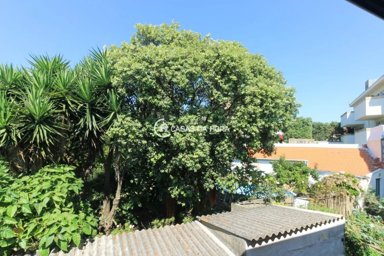 Apartamento T1 para Arrendamento em Aldoar, Foz do Douro e Nevogilde Foto 7