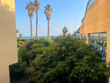 Apartamento T1 para Venda em Carcavelos e Parede