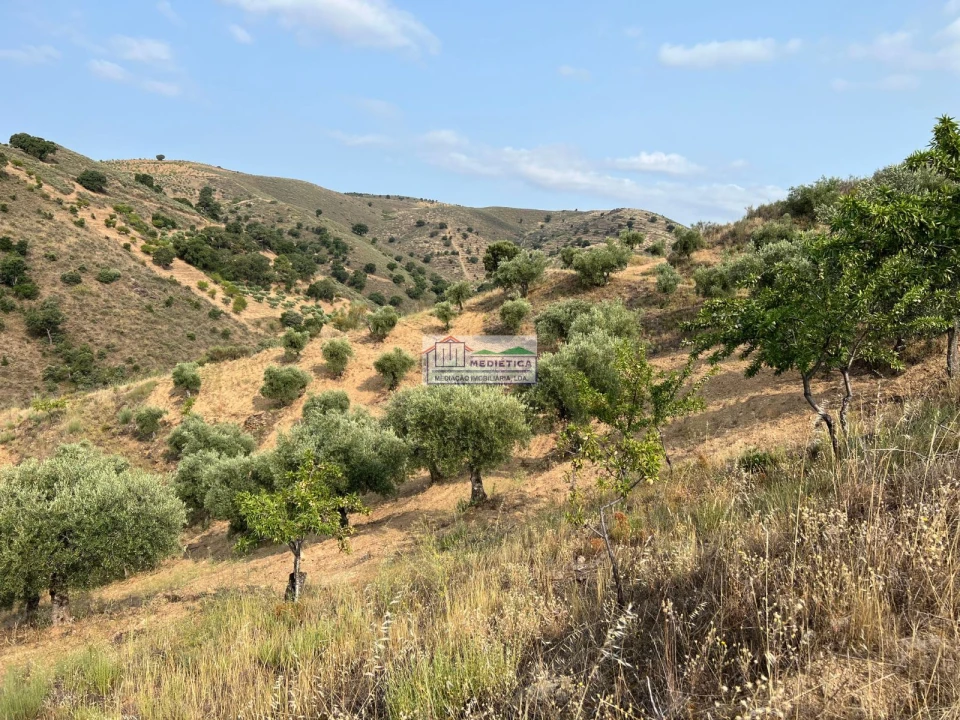 Quinta para Venda em Eucisia, Gouveia e Valverde Foto 1