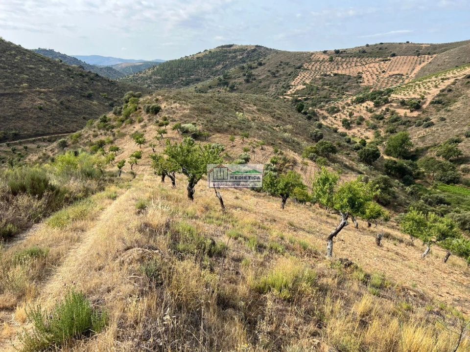 Quinta para Venda em Eucisia, Gouveia e Valverde Foto 6