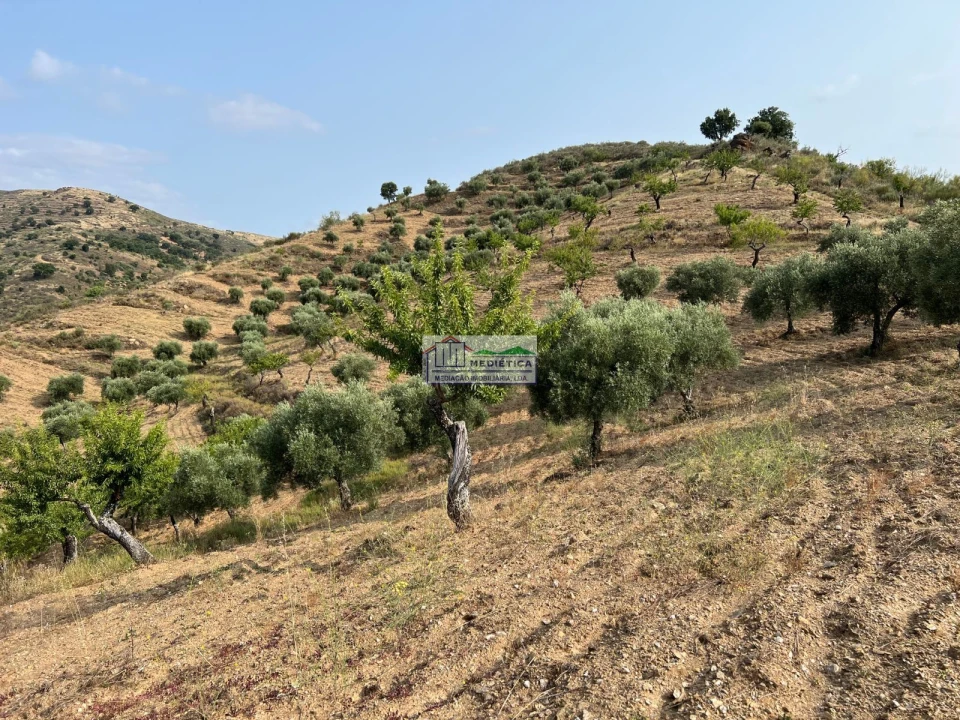 Quinta para Venda em Eucisia, Gouveia e Valverde Foto 10