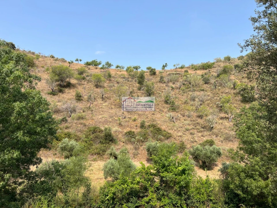 Quinta para Venda em Eucisia, Gouveia e Valverde Foto 11