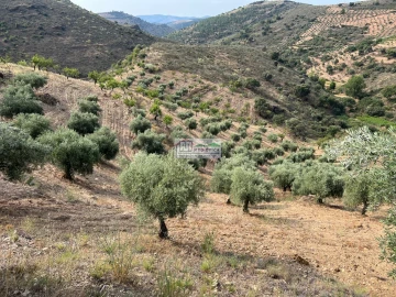 Quinta para Venda em Eucisia, Gouveia e Valverde