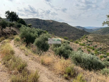 Quinta para Venda em Eucisia, Gouveia e Valverde