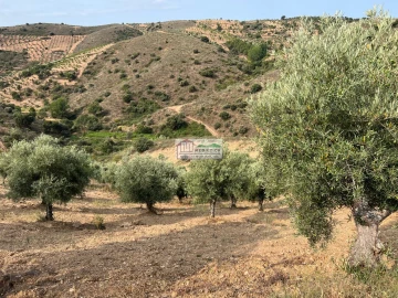 Quinta para Venda em Eucisia, Gouveia e Valverde