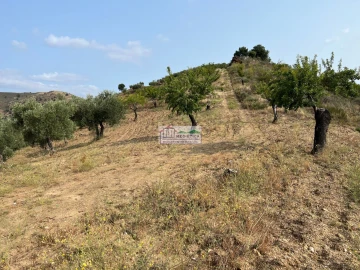 Quinta para Venda em Eucisia, Gouveia e Valverde