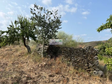 Quinta para Venda em Eucisia, Gouveia e Valverde