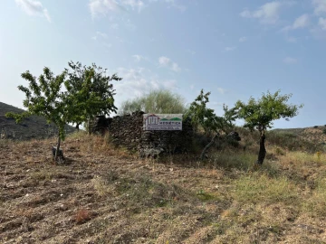 Quinta para Venda em Eucisia, Gouveia e Valverde