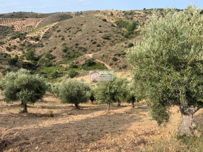 Quinta para Venda em Eucisia, Gouveia e Valverde Foto 5