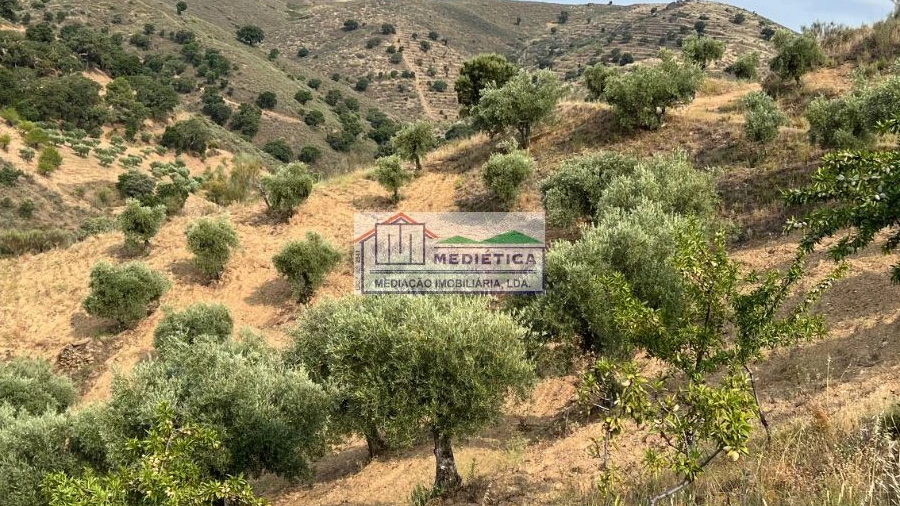 Quinta para Venda em Eucisia, Gouveia e Valverde