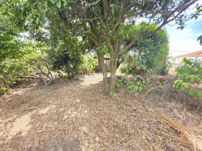 Moradia T4 para Venda em Esgueira Foto 39
