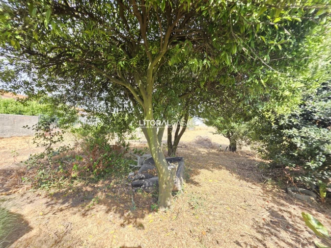 Moradia T4 para Venda em Esgueira Foto 45