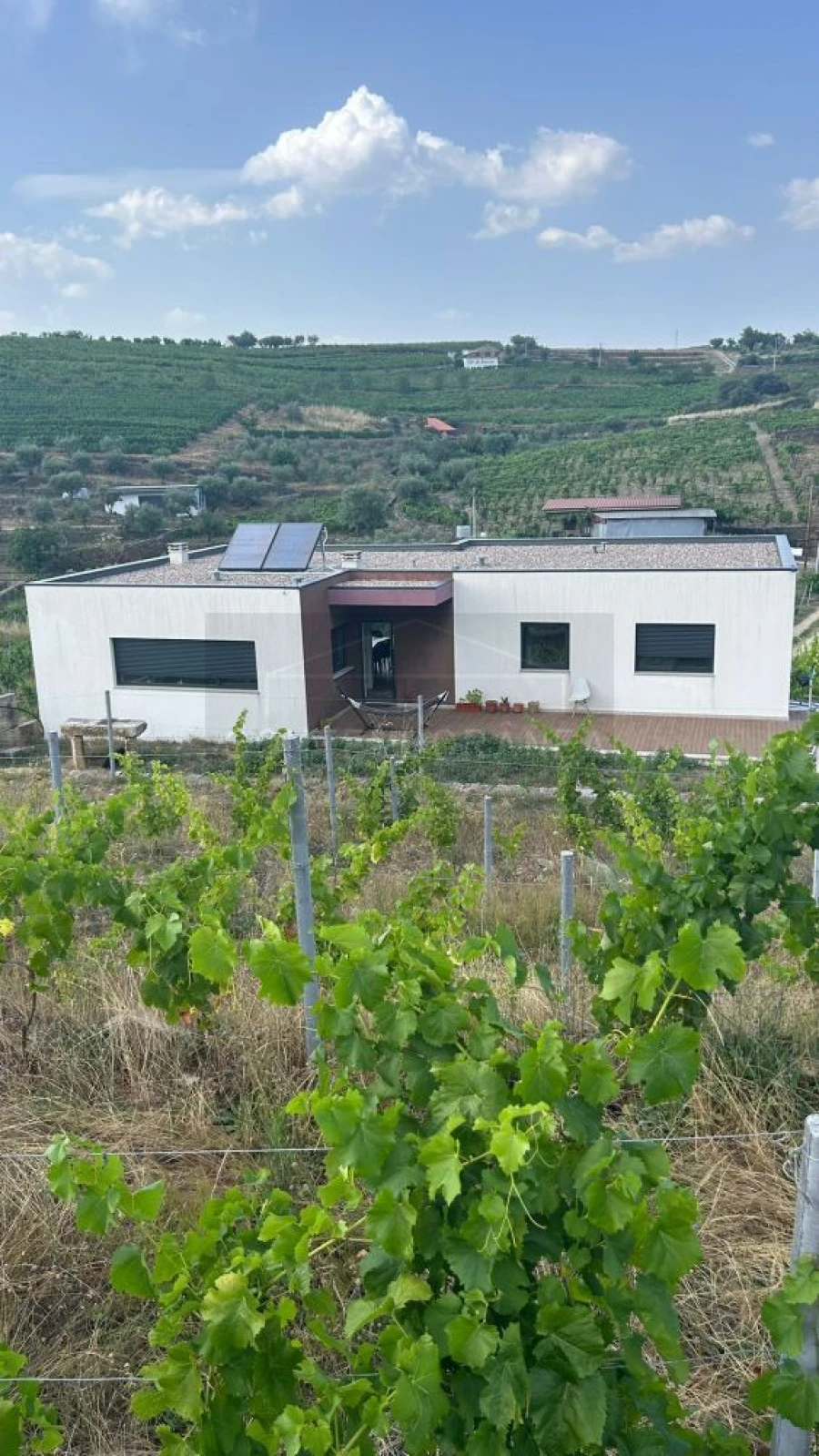 Quinta T3 para Venda em Barcos e Santa Leocádia Foto 16