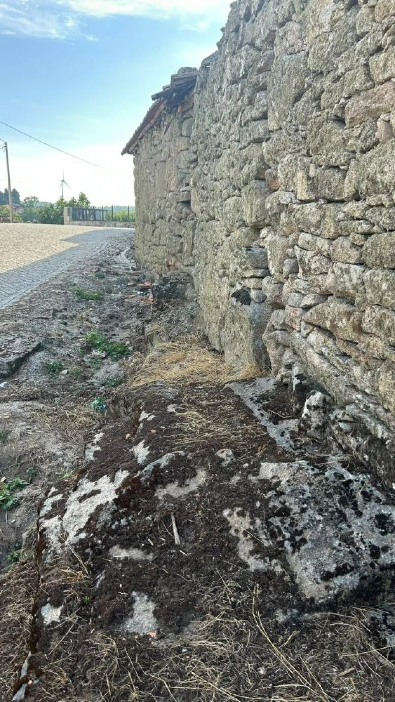 Moradia T2 para Venda em Chavães Foto 10