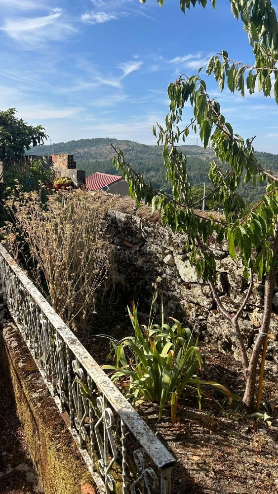Moradia T2 para Venda em Chavães Foto 15