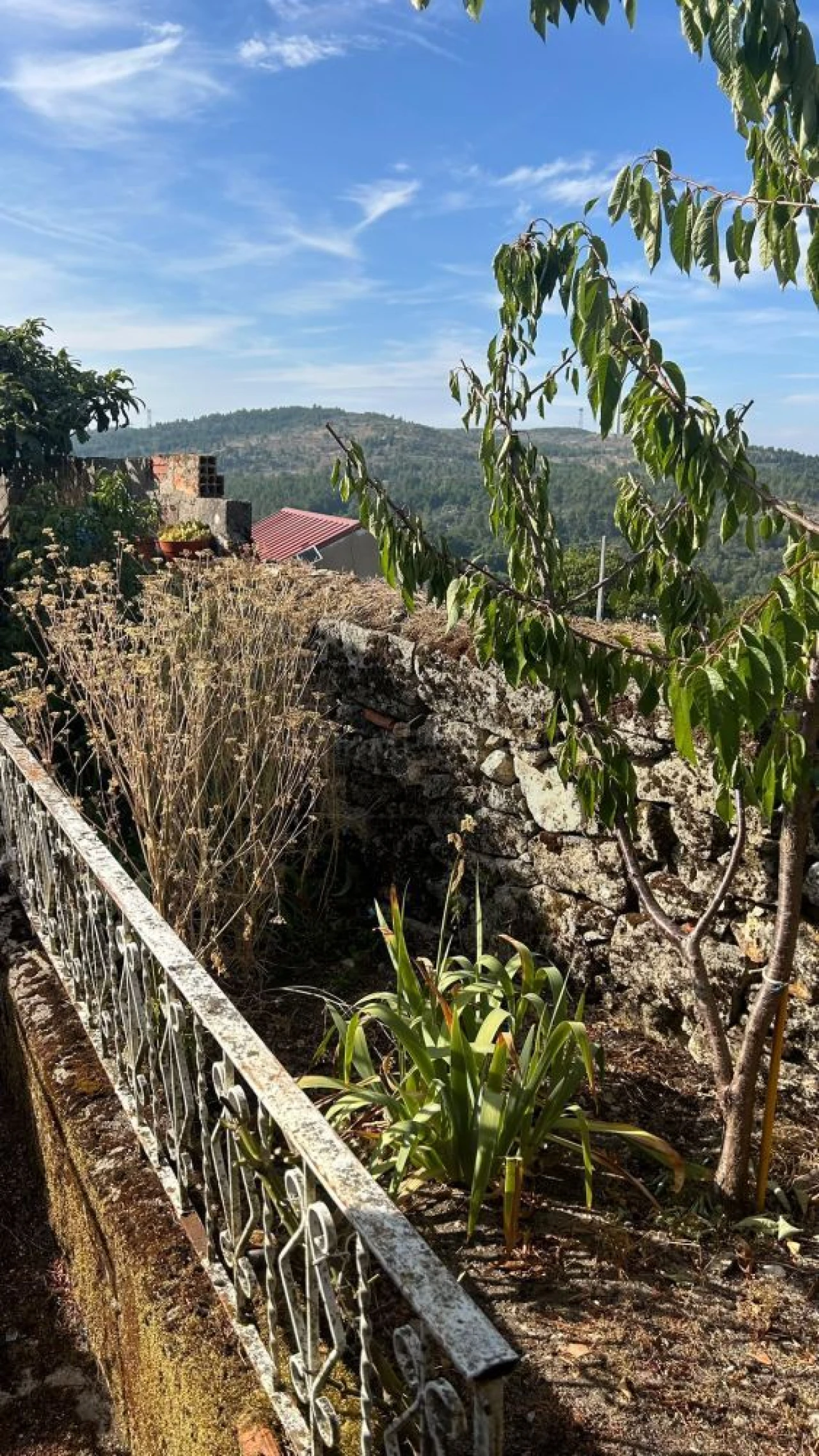 Moradia T2 para Venda em Chavães Foto 15