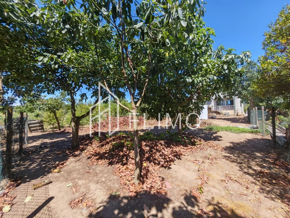Moradia T4 para Venda em Amoreira da Gândara, Paredes do Bairro e Ancas Foto 37
