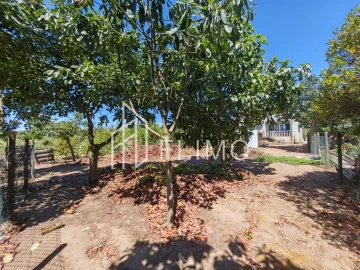 Moradia T4 para Venda em Amoreira da Gândara, Paredes do Bairro e Ancas