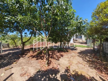 Moradia T4 para Venda em Amoreira da Gândara, Paredes do Bairro e Ancas
