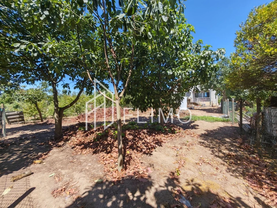 Moradia T4 para Venda em Amoreira da Gândara, Paredes do Bairro e Ancas Foto 33